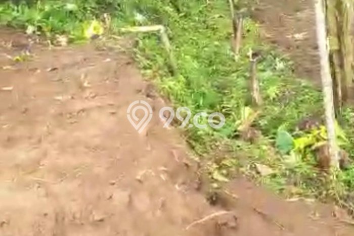 Tanah untuk Dijual di Caringin Bogor Luas 14500m2 Tanah untuk Dijual di Caringin Bogor Luas 14500m2