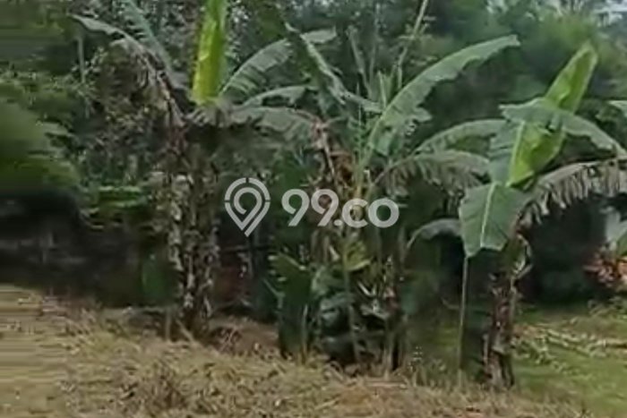 Tanah untuk Dijual di Caringin Bogor Luas 14500m2 Tanah untuk Dijual di Caringin Bogor Luas 14500m2