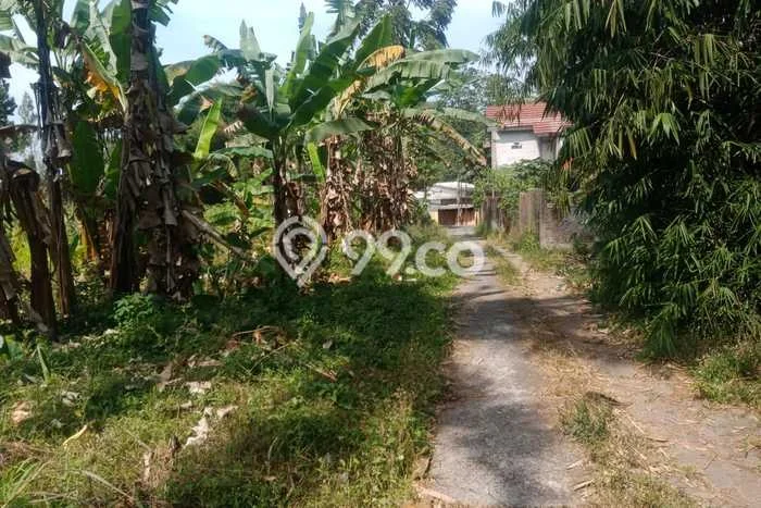 Tanah Strategis Dijual di Cimalaka Sumedang 23111m2 Tanah Strategis Dijual di Cimalaka Sumedang 23111m2