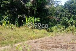 Tanah Strategis Dijual di Cimalaka Sumedang 23111m2 Tanah Strategis Dijual di Cimalaka Sumedang 23111m2