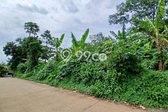 Tanah Strategis Dijual di Serang Serang 3030m2 Tanah Strategis Dijual di Serang Serang 3030m2