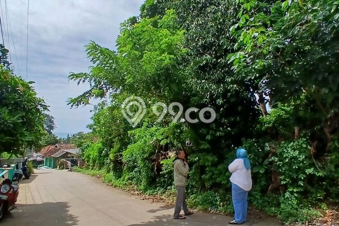 Tanah Strategis Dijual di Serang Serang 3030m2 Tanah Strategis Dijual di Serang Serang 3030m2