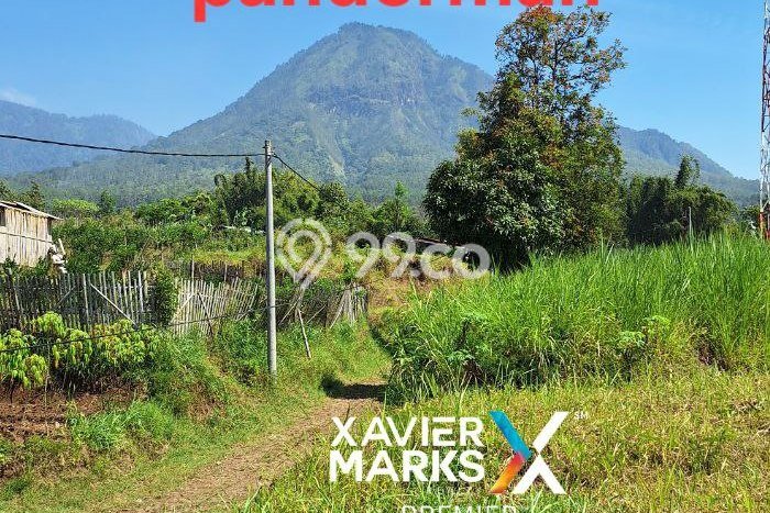 Tanah Komersial Dijual di Batu Batu 1652m2 Tanah Komersial Dijual di Batu Batu 1652m2