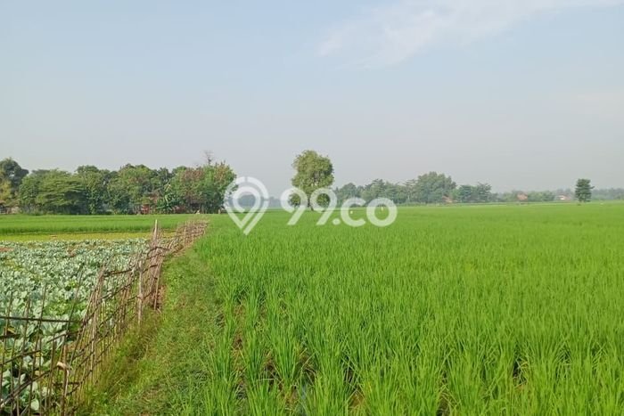 Lahan untuk Dijual di Pabuaran Subang Luas 14300m2 Lahan untuk Dijual di Pabuaran Subang Luas 14300m2
