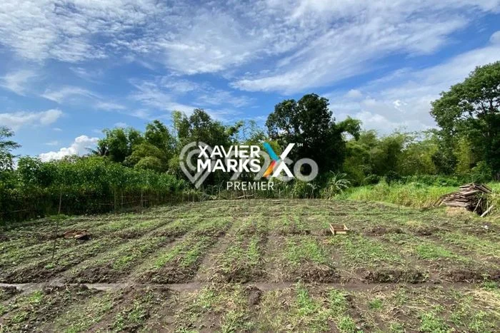 Dijual Tanah di Dau Malang Luas 1m2 SHM Dijual Tanah di Dau Malang Luas 1m2 SHM