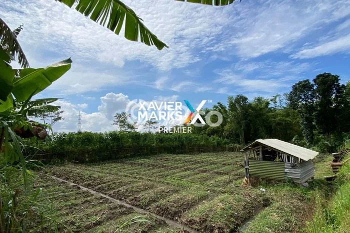 Dijual Tanah di Dau Malang Luas 1m2 SHM Dijual Tanah di Dau Malang Luas 1m2 SHM