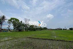 Kavling Tanah di Kepanjen Dijual Luas 2849m2 Legalitas SHM Kavling Tanah di Kepanjen Dijual Luas 2849m2 Legalitas SHM