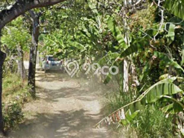 Tanah Dijual Lokasi Buleleng, Buleleng Luas 8000m2 Legalitas Aman Tanah Dijual Lokasi Buleleng, Buleleng Luas 8000m2 Legalitas Aman