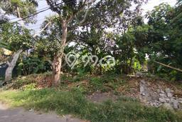 Kavling Tanah di Mengwi Dijual Luas 340m2 Legalitas SHM Kavling Tanah di Mengwi Dijual Luas 340m2 Legalitas SHM