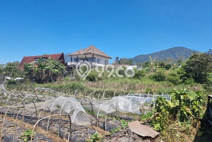 Tanah Strategis Dijual di Baturiti Tabanan 400m2 Tanah Strategis Dijual di Baturiti Tabanan 400m2