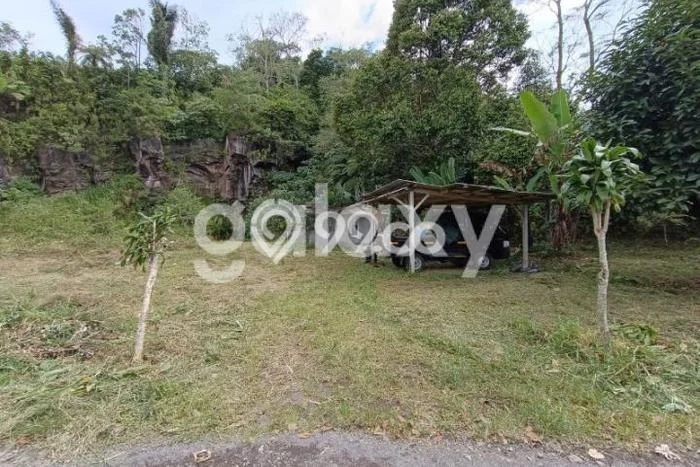 Tanah di Baturiti, Tabanan Luas 1560m2 Dijual Segera Tanah di Baturiti, Tabanan Luas 1560m2 Dijual Segera