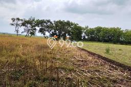 Tanah Dijual Lokasi Tanjunganom, Nganjuk Luas 13010m2 Legalitas Aman Tanah Dijual Lokasi Tanjunganom, Nganjuk Luas 13010m2 Legalitas Aman