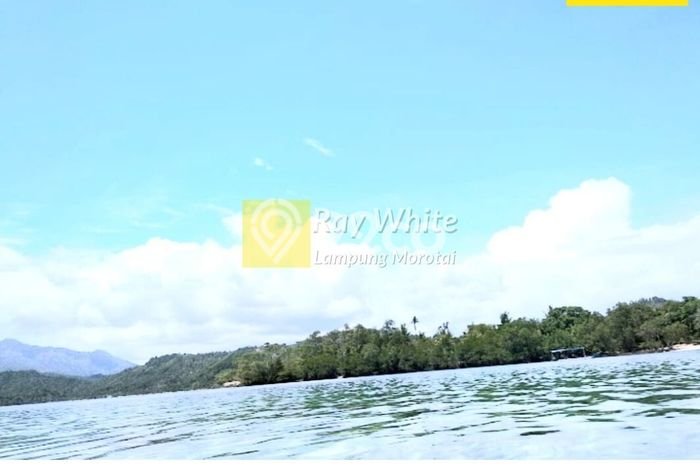 Lahan untuk Dijual Lokasi Padang Cermin, Pesawaran Luas 26089m2 SHM Lahan untuk Dijual Lokasi Padang Cermin, Pesawaran Luas 26089m2 SHM
