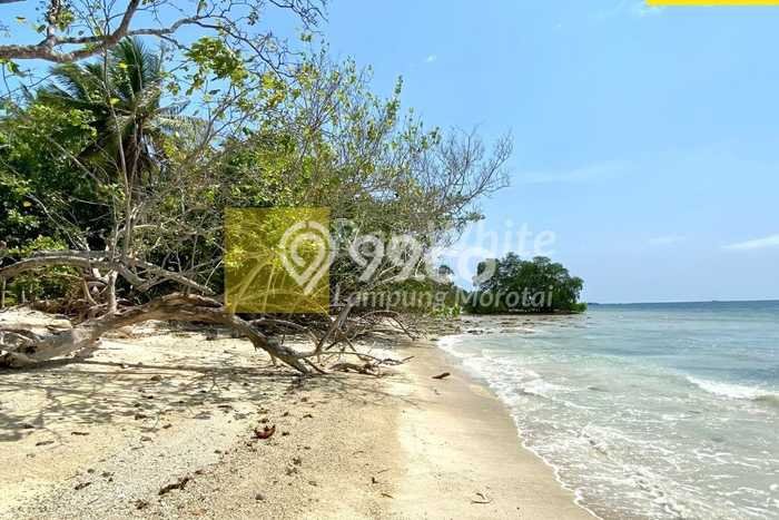 Tanah Dijual Lokasi Punduh Pidada, Pesawaran dengan Luas Tanah 79360m2 dan Status SHM Tanah Dijual Lokasi Punduh Pidada, Pesawaran dengan Luas Tanah 79360m2 dan Status SHM
