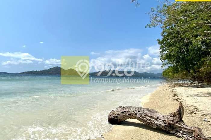 Tanah Dijual Lokasi Punduh Pidada, Pesawaran dengan Luas Tanah 79360m2 dan Status SHM Tanah Dijual Lokasi Punduh Pidada, Pesawaran dengan Luas Tanah 79360m2 dan Status SHM