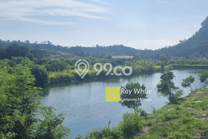 Dijual Tanah di Bakauheni Lampung Selatan Luas 206830m2 SHM Dijual Tanah di Bakauheni Lampung Selatan Luas 206830m2 SHM