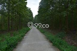 Tanah Dijual Lokasi Natar, Lampung Selatan Luas 769150m2 Legalitas Aman Tanah Dijual Lokasi Natar, Lampung Selatan Luas 769150m2 Legalitas Aman