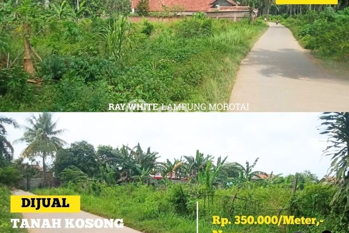 Tanah Kavling di Natar Dijual dengan Luas 2m2 Tanah Kavling di Natar Dijual dengan Luas 2m2