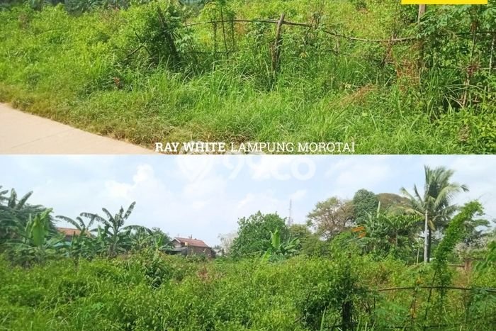 Tanah Kavling di Natar Dijual dengan Luas 2m2 Tanah Kavling di Natar Dijual dengan Luas 2m2