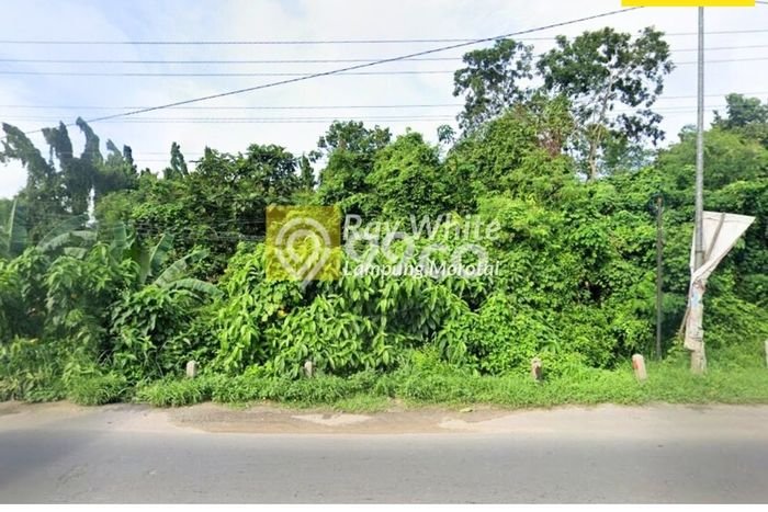 Kavling Tanah Dijual di Terbanggi Besar Lampung Tengah Spesifikasi 1m2 Kavling Tanah Dijual di Terbanggi Besar Lampung Tengah Spesifikasi 1m2