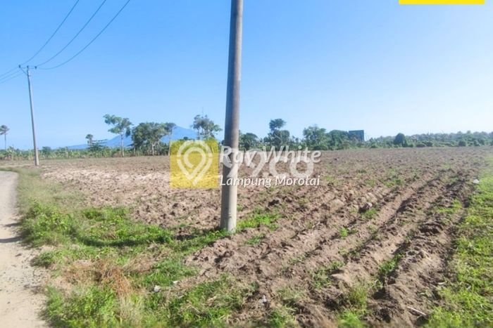 Lahan Investasi Lokasi Kalianda Lampung Selatan SHM Lahan Investasi Lokasi Kalianda Lampung Selatan SHM