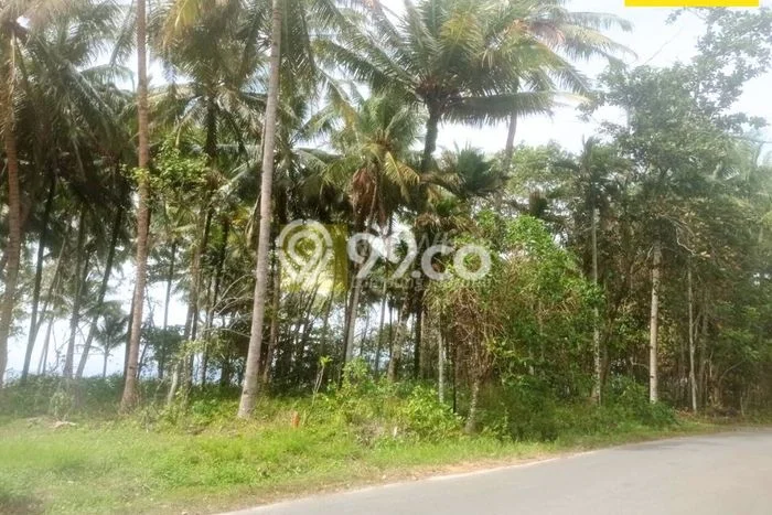 Tanah Dijual di Lampung Barat Seluas 3700m2 Strategis Tanah Dijual di Lampung Barat Seluas 3700m2 Strategis