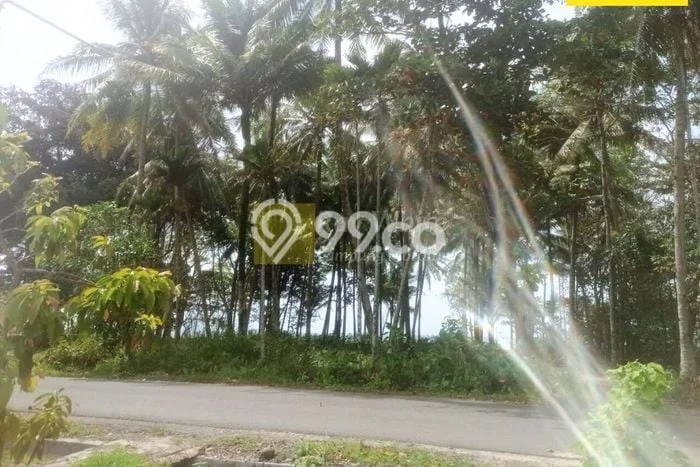 Tanah Dijual di Lampung Barat Seluas 3700m2 Strategis Tanah Dijual di Lampung Barat Seluas 3700m2 Strategis