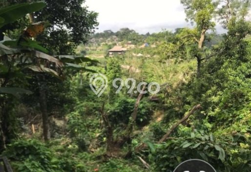 Kavling Tanah untuk Dijual di Dewi Sri, Badung, Luas 20930m2 Kavling Tanah untuk Dijual di Dewi Sri, Badung, Luas 20930m2
