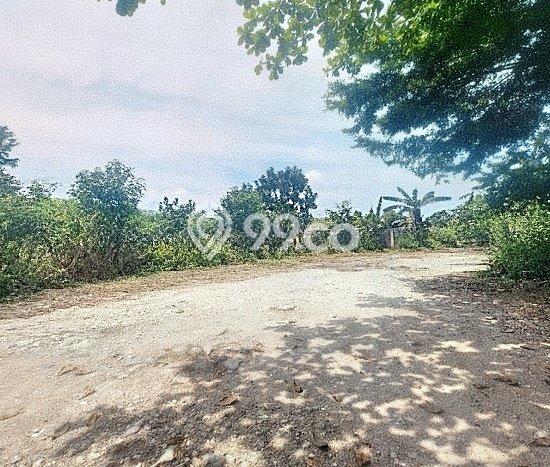 Tanah Disewakan di Gunung Putri, Bogor, Luas 1250m2 - Tanah Disewakan di Gunung Putri, Bogor, Luas 1250m2 -