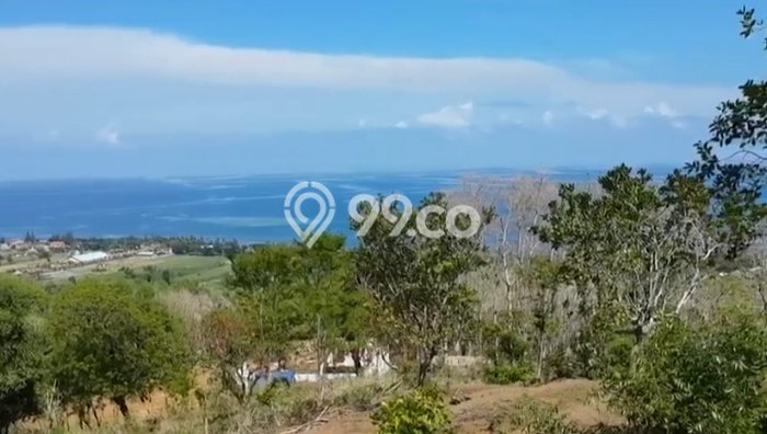 Lahan untuk Dijual Lokasi Buleleng, Buleleng Luas 35000m2 SHM Lahan untuk Dijual Lokasi Buleleng, Buleleng Luas 35000m2 SHM