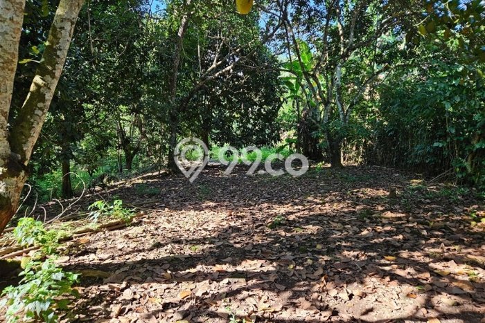Tanah di Mapanget, Manado Luas 2272m2 Dijual Segera Tanah di Mapanget, Manado Luas 2272m2 Dijual Segera
