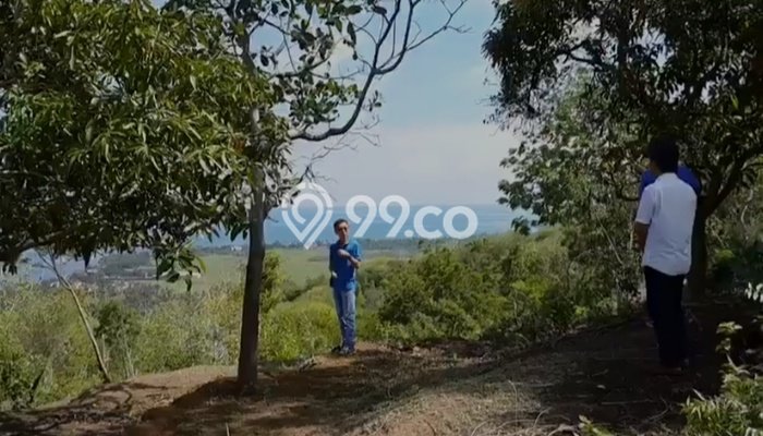 Lahan untuk Dijual Lokasi Buleleng, Buleleng Luas 35000m2 SHM Lahan untuk Dijual Lokasi Buleleng, Buleleng Luas 35000m2 SHM