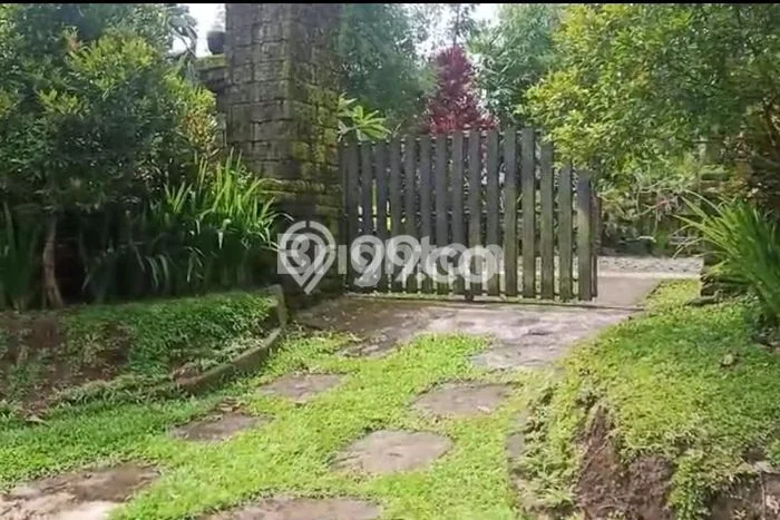 Tanah Kavling Dijual di Tabanan dengan Spesifikasi 5000m2 Tanah Kavling Dijual di Tabanan dengan Spesifikasi 5000m2