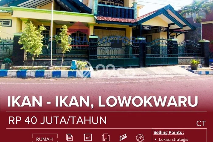Disewakan Segera Rumah Kondisi Bagus di Kawasan Lowokwaru, Malang Disewakan Segera Rumah Kondisi Bagus di Kawasan Lowokwaru, Malang