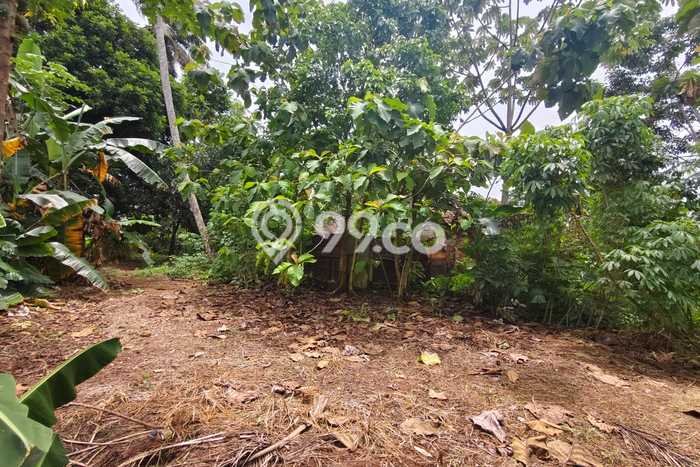 Tanah Siap Bangun Dijual di Tangerang Punya Luas 10481m2 Tanah Siap Bangun Dijual di Tangerang Punya Luas 10481m2