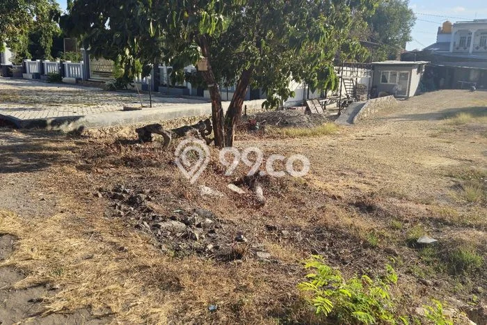 Dijual Tanah di Oebobo Kupang Luas 1809m2 SHM Dijual Tanah di Oebobo Kupang Luas 1809m2 SHM