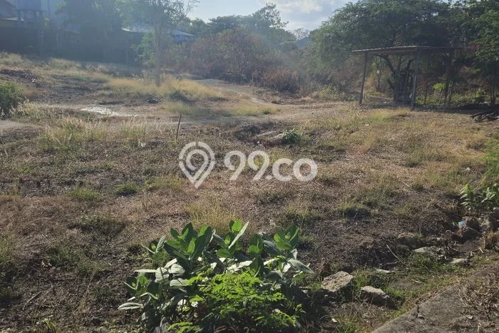 Dijual Tanah di Oebobo Kupang Luas 1809m2 SHM Dijual Tanah di Oebobo Kupang Luas 1809m2 SHM