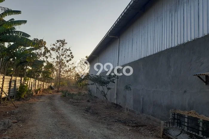 Gudang Disewakan di Area Ramai Maulafa, Kupang Gudang Disewakan di Area Ramai Maulafa, Kupang