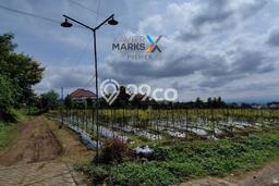 Tanah di Lowokwaru, Malang Luas 520m2 Dijual Segera Tanah di Lowokwaru, Malang Luas 520m2 Dijual Segera