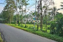 Untuk Dijual Tanah di Singosari Malang Luas 1940m2 SHM Untuk Dijual Tanah di Singosari Malang Luas 1940m2 SHM