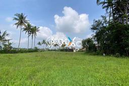 Tanah di Jabung, Malang Luas 4202m2 Dijual Segera Tanah di Jabung, Malang Luas 4202m2 Dijual Segera