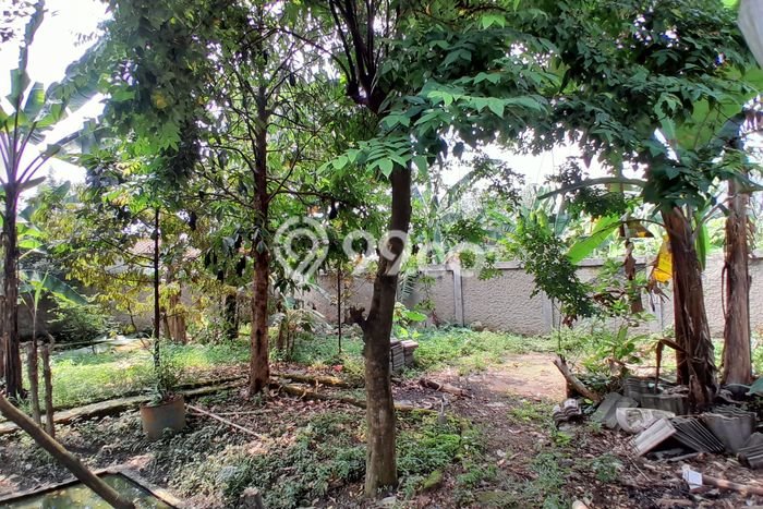 Hunian Mewah Dijual LT 1001m2 di Parung, Bogor Hunian Mewah Dijual LT 1001m2 di Parung, Bogor