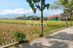 Lahan Strategis di Majalaya Dijual dengan Luas 3000m2 Lahan Strategis di Majalaya Dijual dengan Luas 3000m2