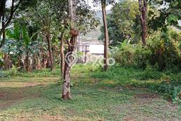 Kavling Tanah untuk Dijual di Padalarang, Bandung, Luas 38600m2 Kavling Tanah untuk Dijual di Padalarang, Bandung, Luas 38600m2