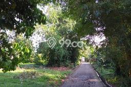 Kavling Tanah Dijual di Bogor Selatan Bogor Spesifikasi 1842m2 Kavling Tanah Dijual di Bogor Selatan Bogor Spesifikasi 1842m2