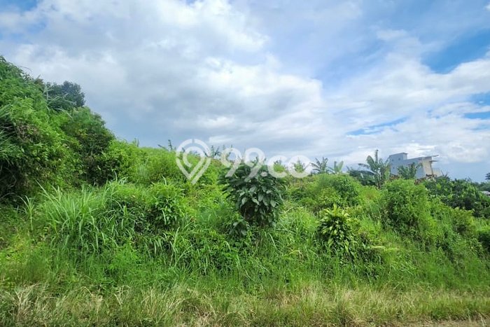 Jarang Ada! Tanah di Bumiaji Punya Luas 919m2 SHM Jarang Ada! Tanah di Bumiaji Punya Luas 919m2 SHM
