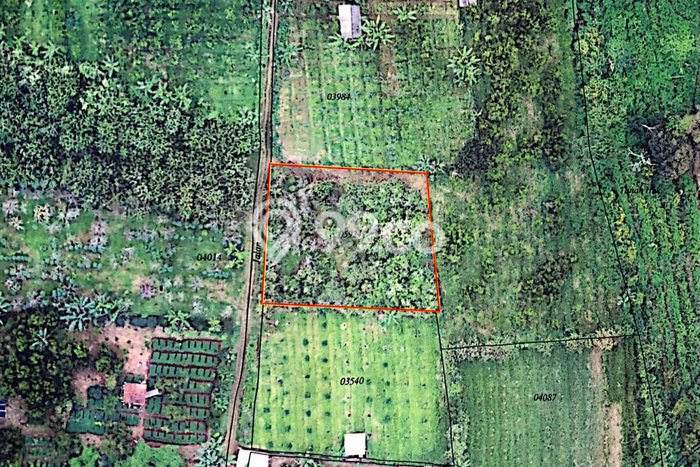 Jarang Ada! Tanah di Bumiaji Punya Luas 919m2 SHM Jarang Ada! Tanah di Bumiaji Punya Luas 919m2 SHM