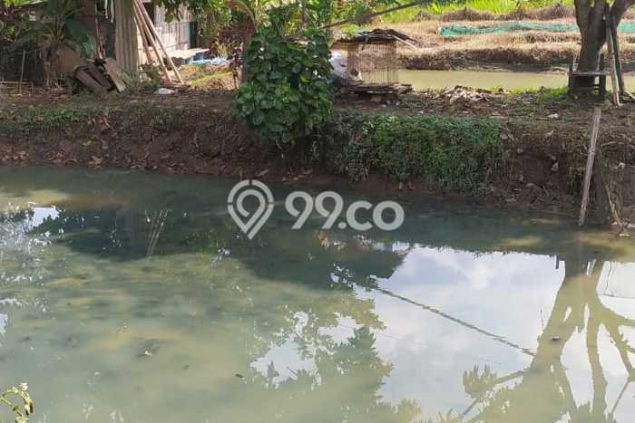 Lahan Kosong Dijual di Ciseeng, Bogor, Luas 726m2 Area Strategis Lahan Kosong Dijual di Ciseeng, Bogor, Luas 726m2 Area Strategis