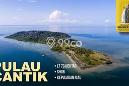Untuk Dijual Tanah di Lingga, Luas 730000m2 - Untuk Dijual Tanah di Lingga, Luas 730000m2 -