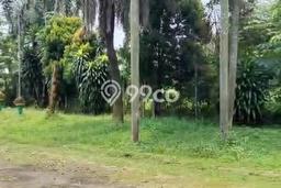 Tanah Kavling di Gunung Sindur Dijual dengan Luas 100800m2 Tanah Kavling di Gunung Sindur Dijual dengan Luas 100800m2